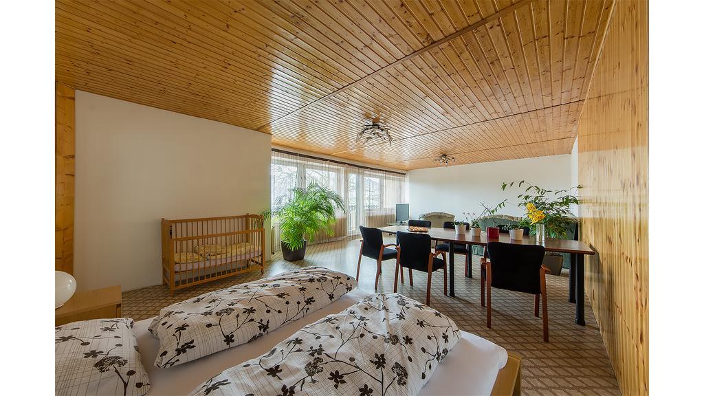 Apartman Vrane Vrané nad Vltavou Eksteriør billede